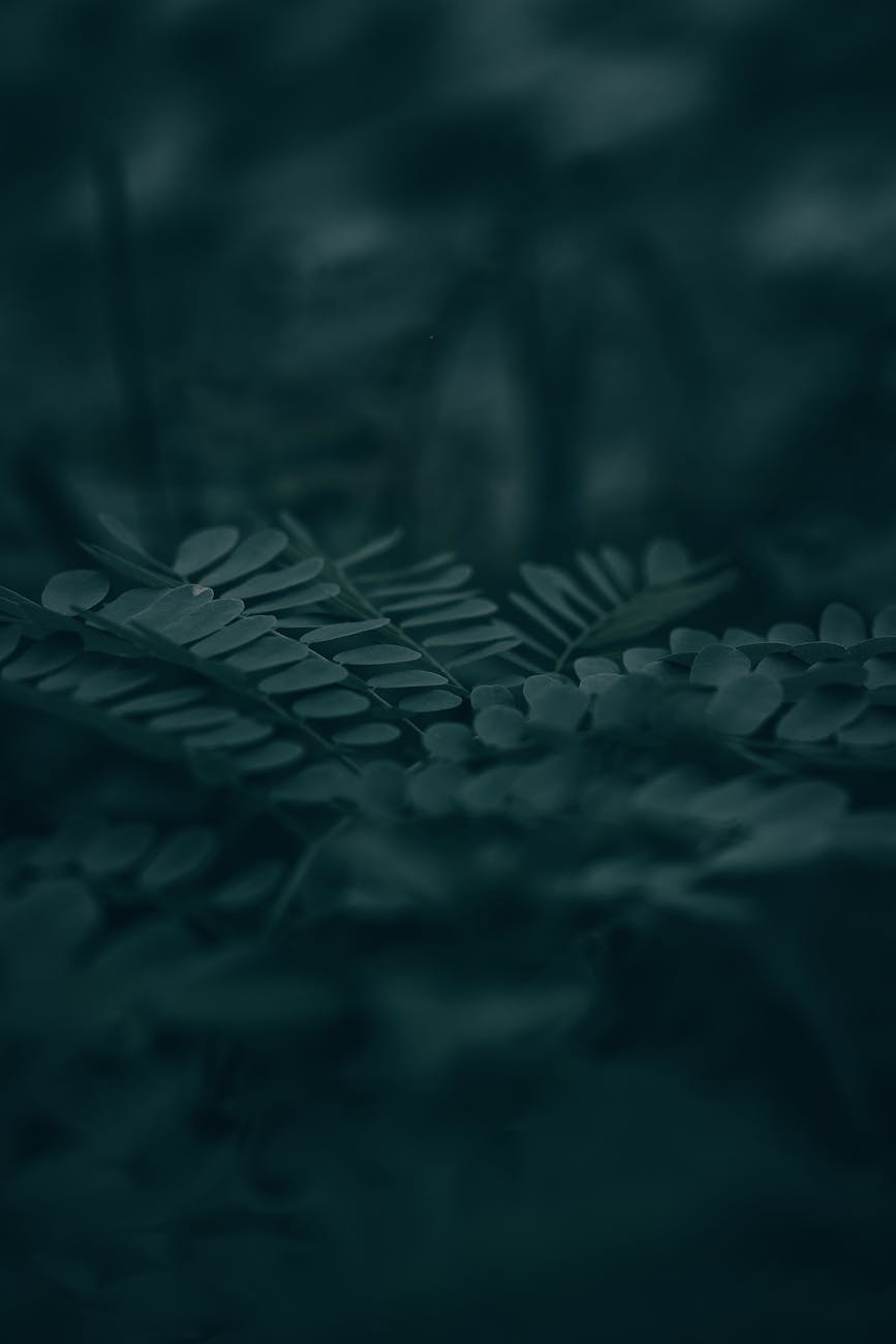 Multimedialer Content